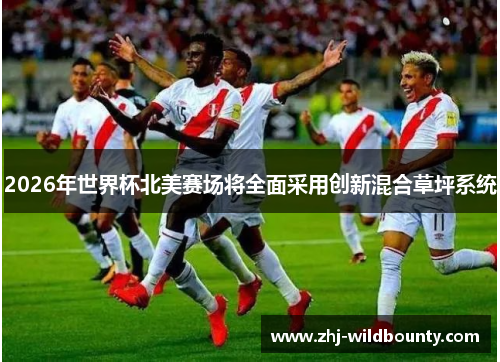 2026年世界杯北美赛场将全面采用创新混合草坪系统