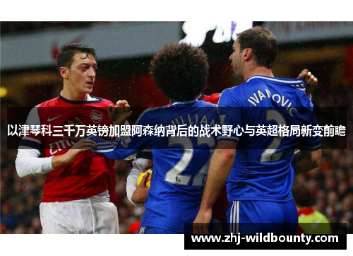 以津琴科三千万英镑加盟阿森纳背后的战术野心与英超格局新变前瞻