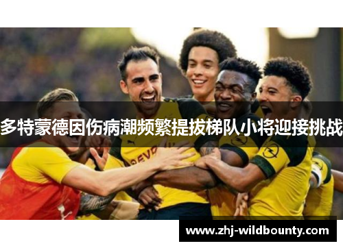 多特蒙德因伤病潮频繁提拔梯队小将迎接挑战